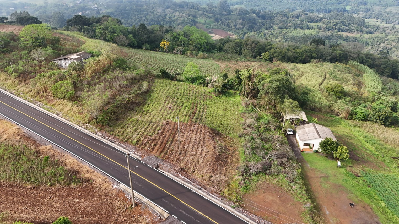 Área Boa Vista - 2.000m² - Foto 3