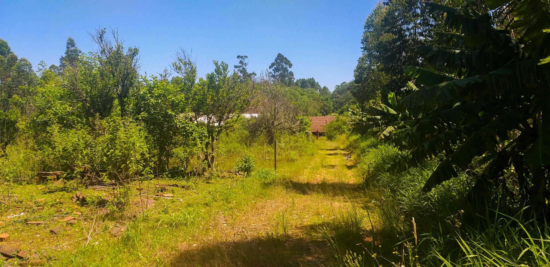 Bela Chácara em Monte Alverne com 12,6ha - Foto 21