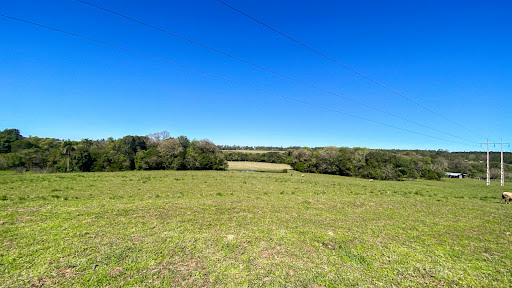 Chácara no Rincão Del Rei com 4 dormitórios - Foto 14