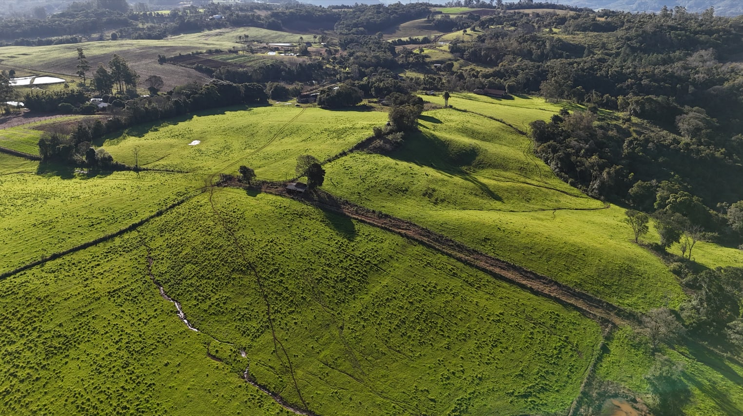 60 hectares - Santa Cruz do Sul - Foto 19