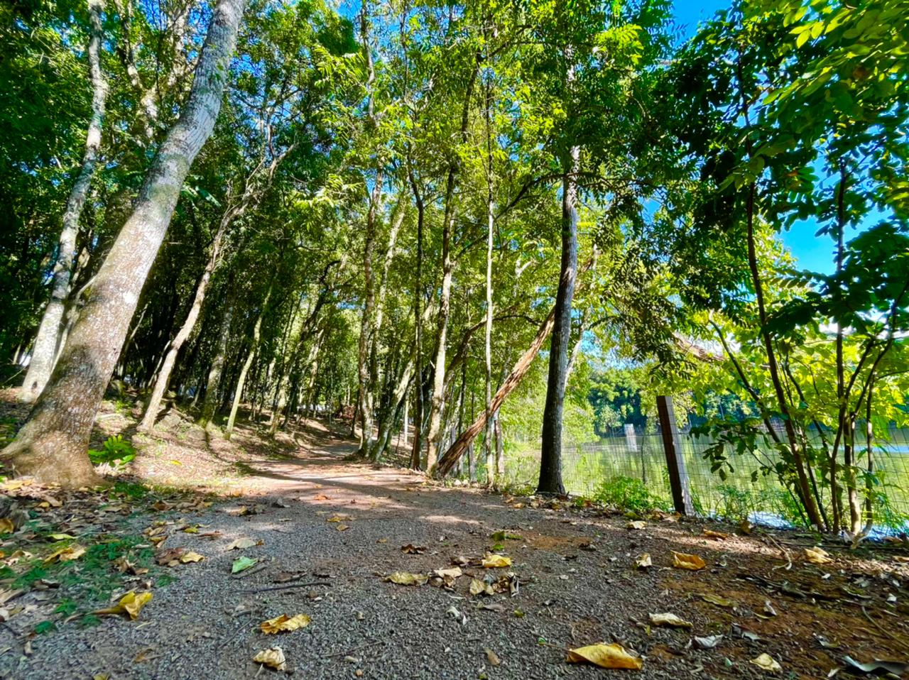 Terreno no Condomínio Parque Europa com 3353 m² - Foto 29