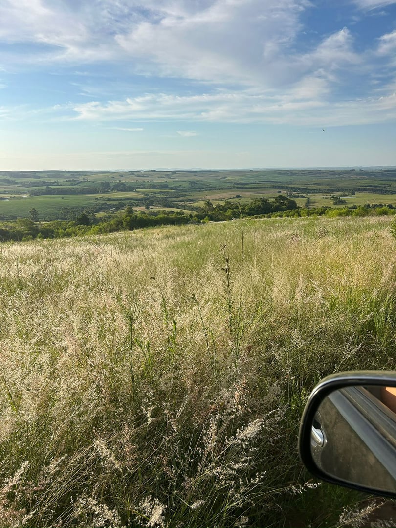 Fazenda 130 Ha - Foto 8