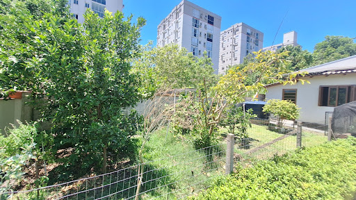 Casa na Avenida com 3 dormitórios e amplo pátio com Piscina - Foto 23