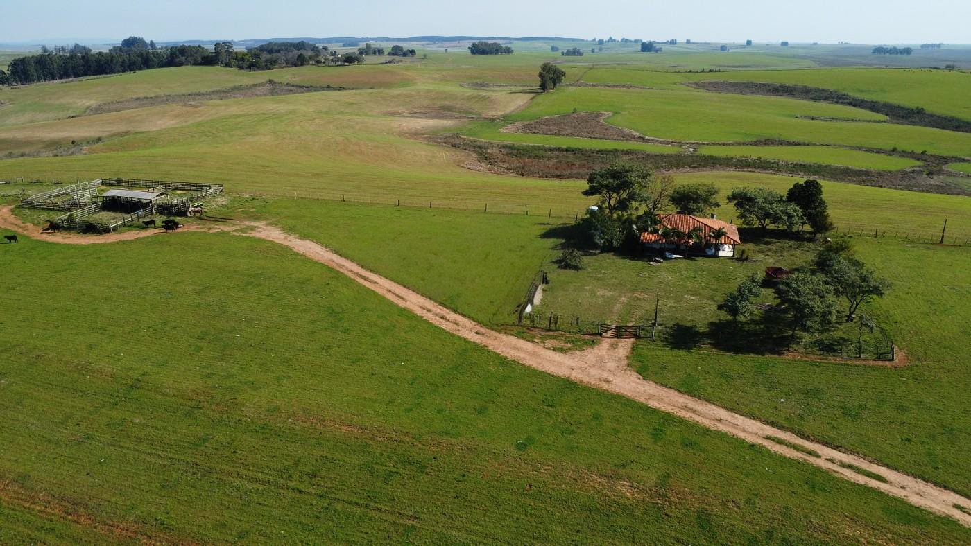 Fazenda 119ha - Foto 6