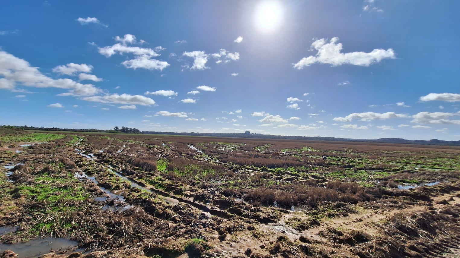 530 Hectares - Cachoeira do Sul - Foto 5