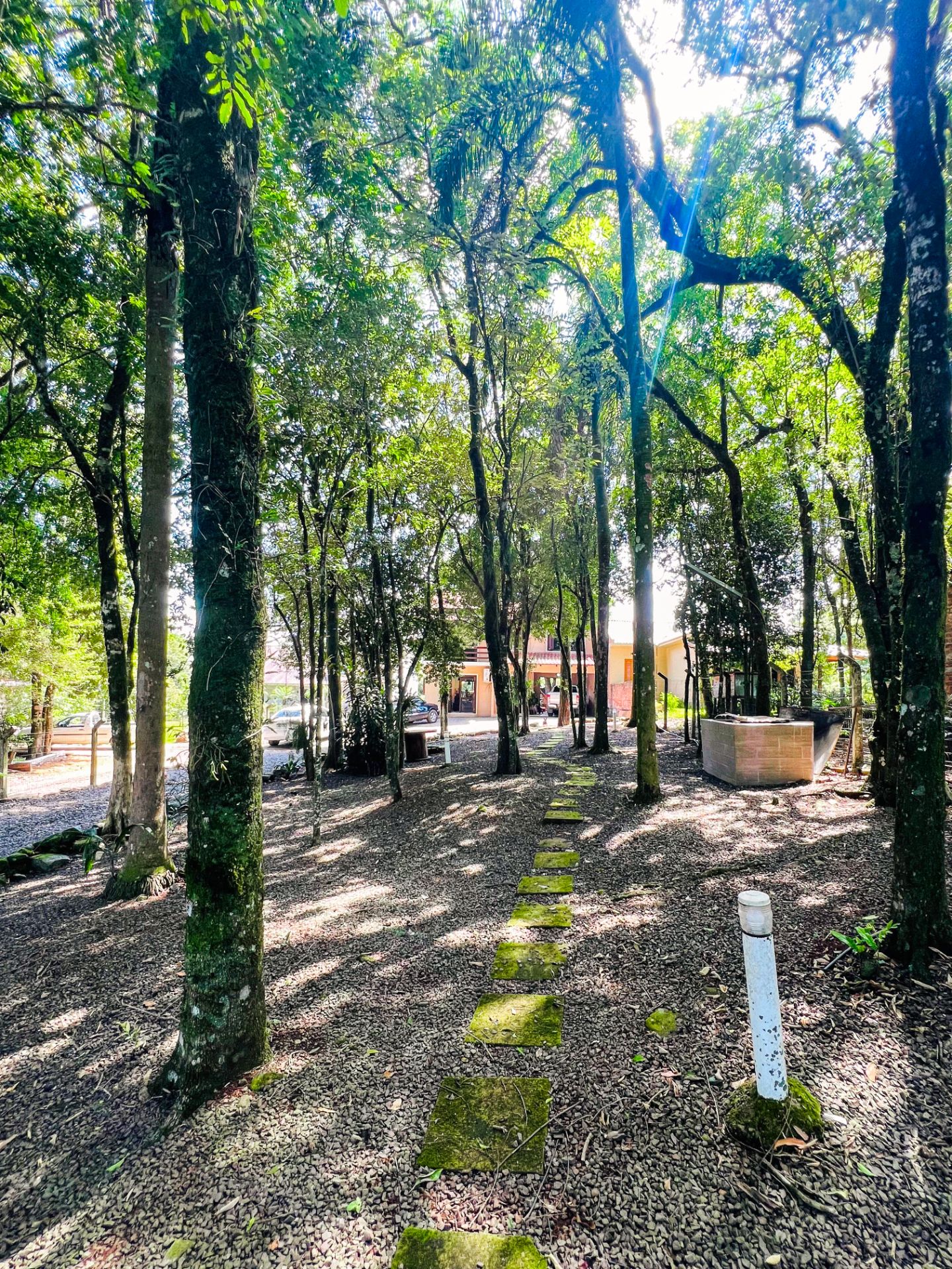 Casa em Linha Santa Cruz com 3 dormitórios e Piscina - Foto 4