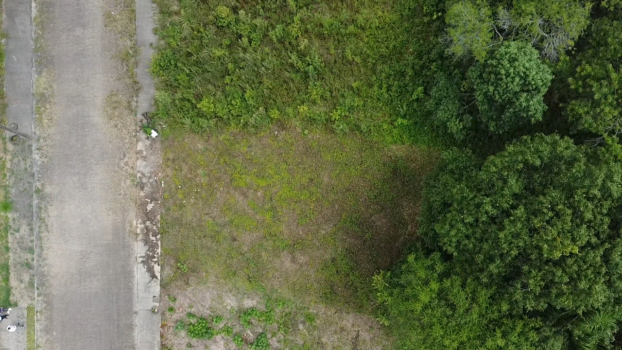 Terreno no Jardim Europa com 364.5m² - Foto 5