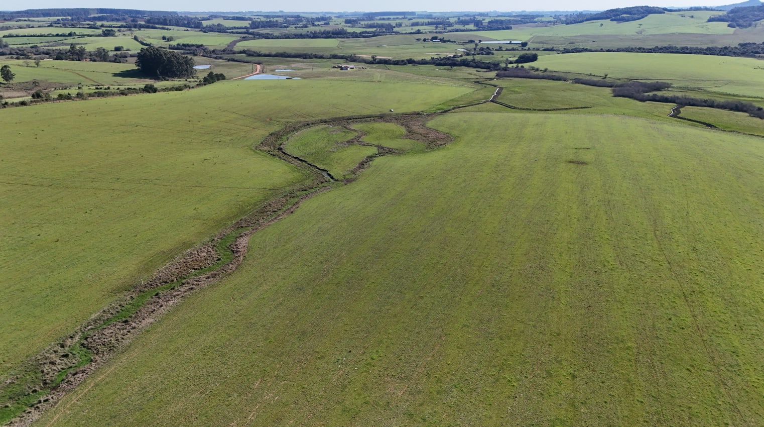 203 hectares - Vale Verde - Foto 5