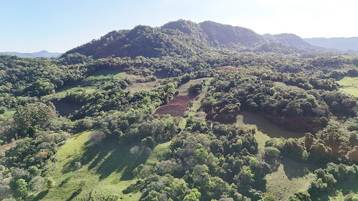Chácara em Candelária com 21 Hectares - Foto 18