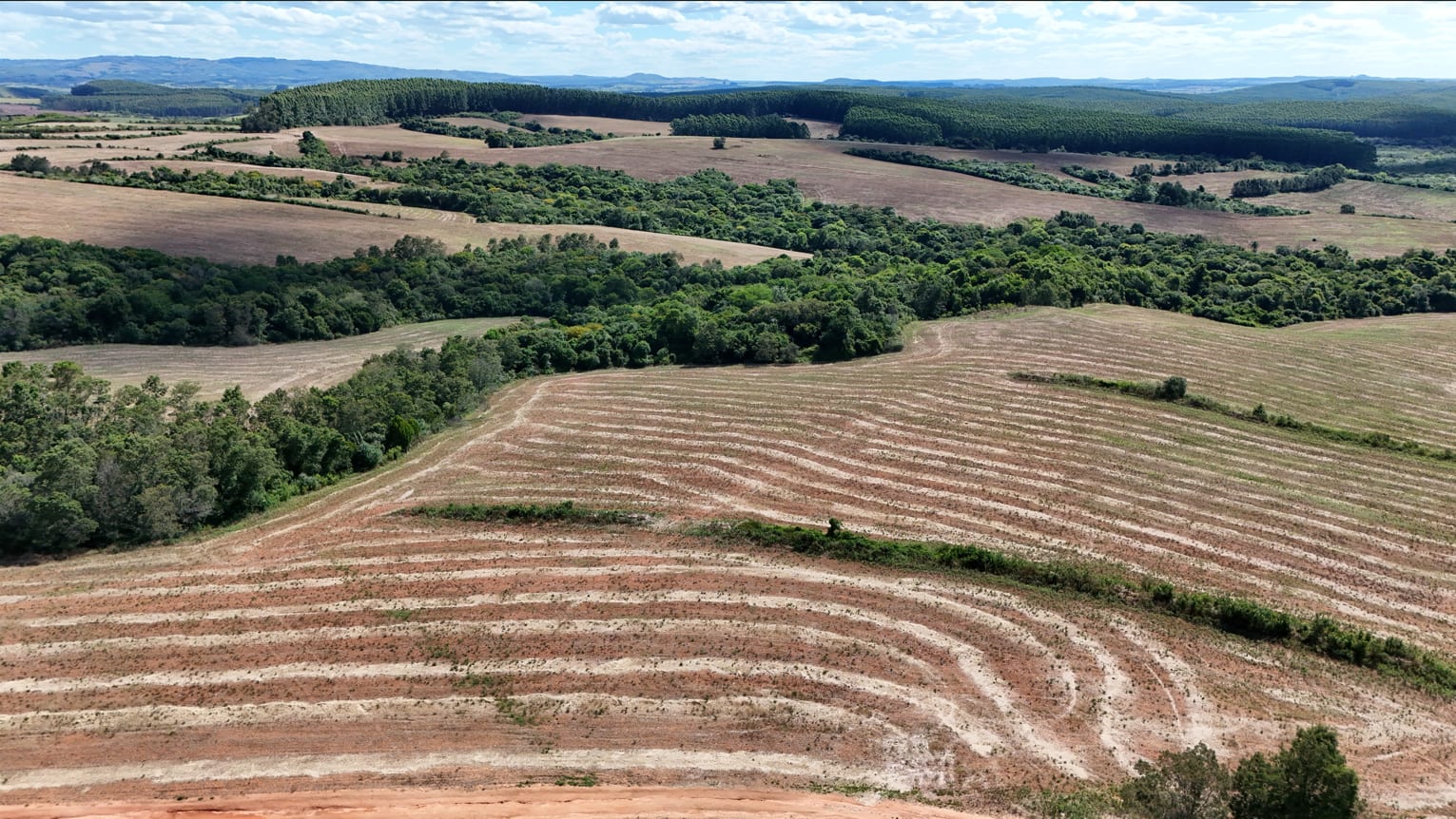 517 hectares - Butiá