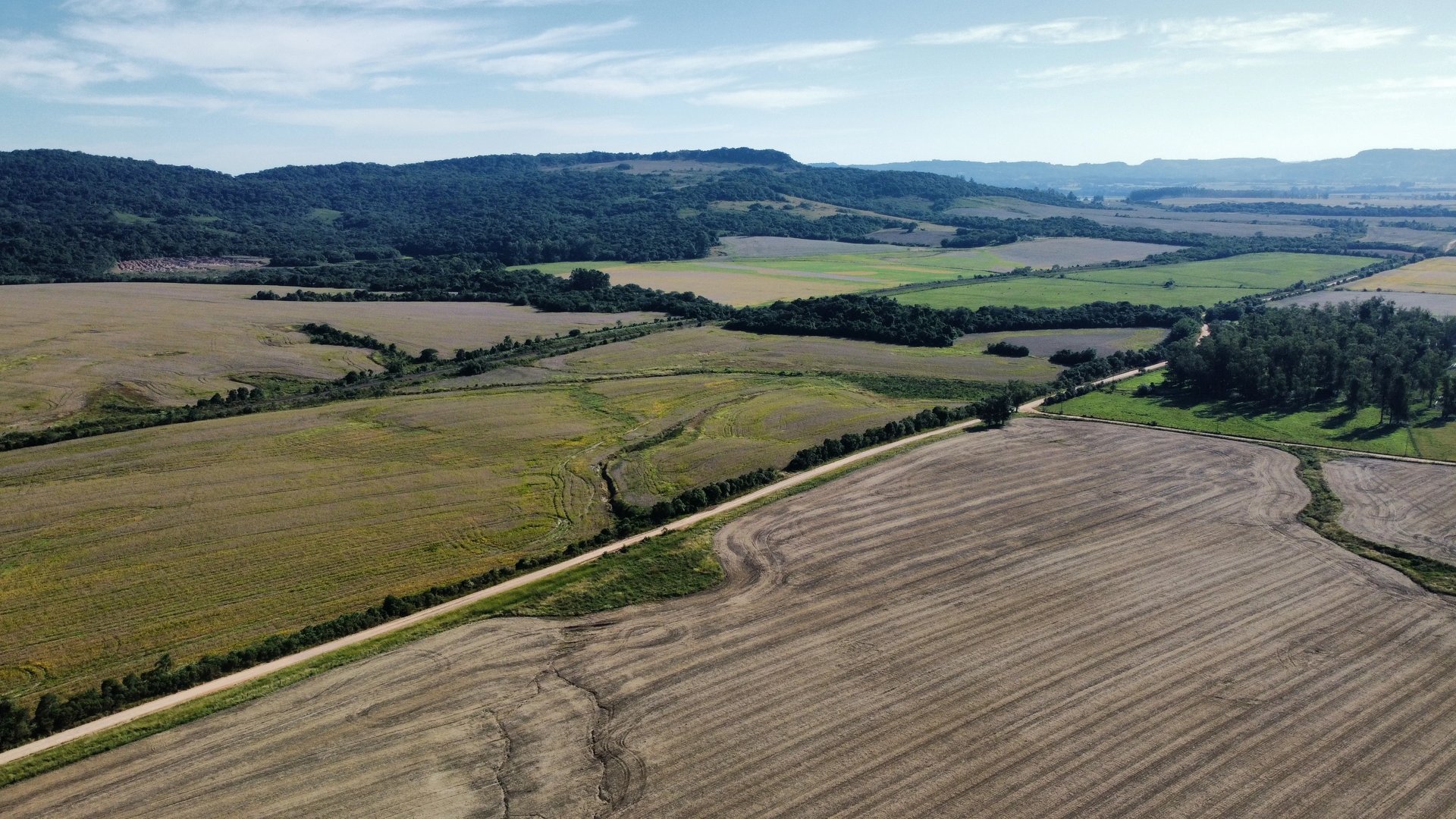 250 hectares - Vale Verde - Foto 5