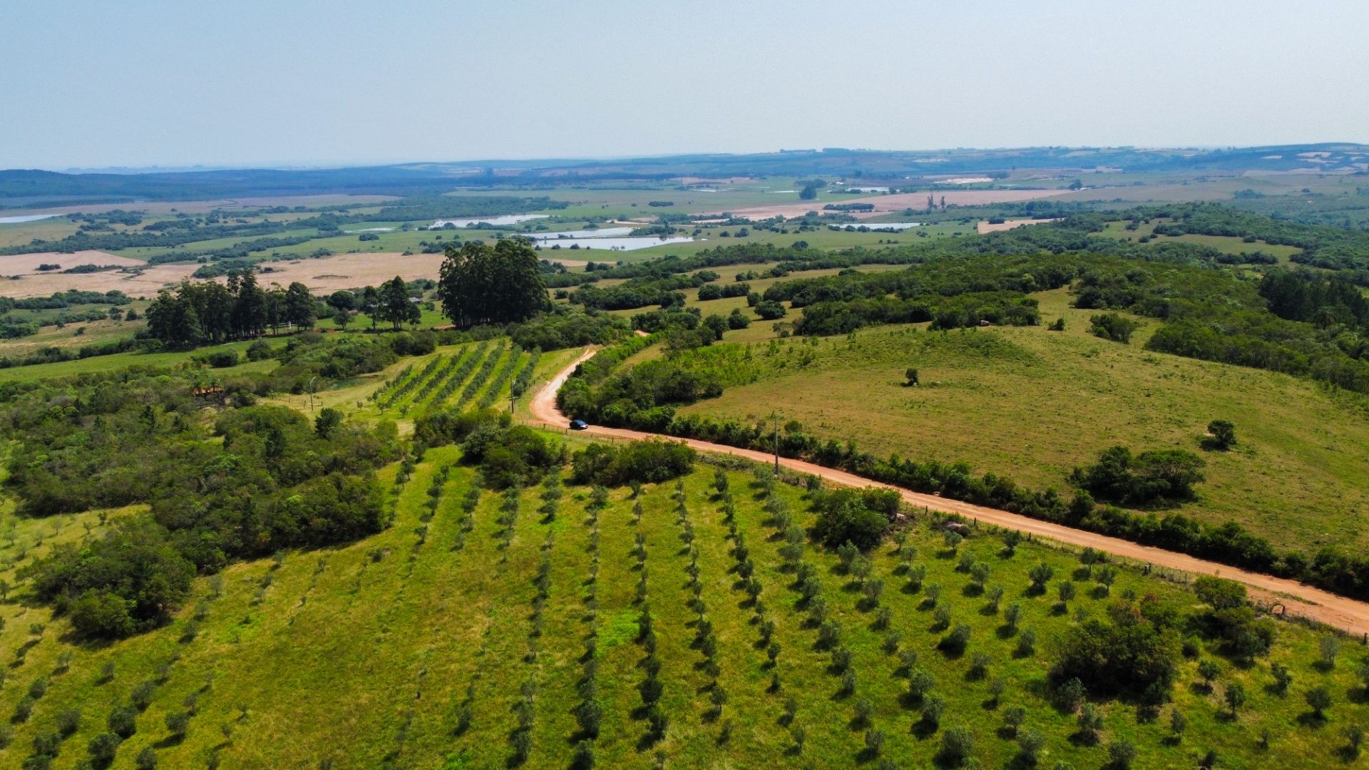 Fazenda em Encruzilhada do Sul com 44,4ha - Foto 20