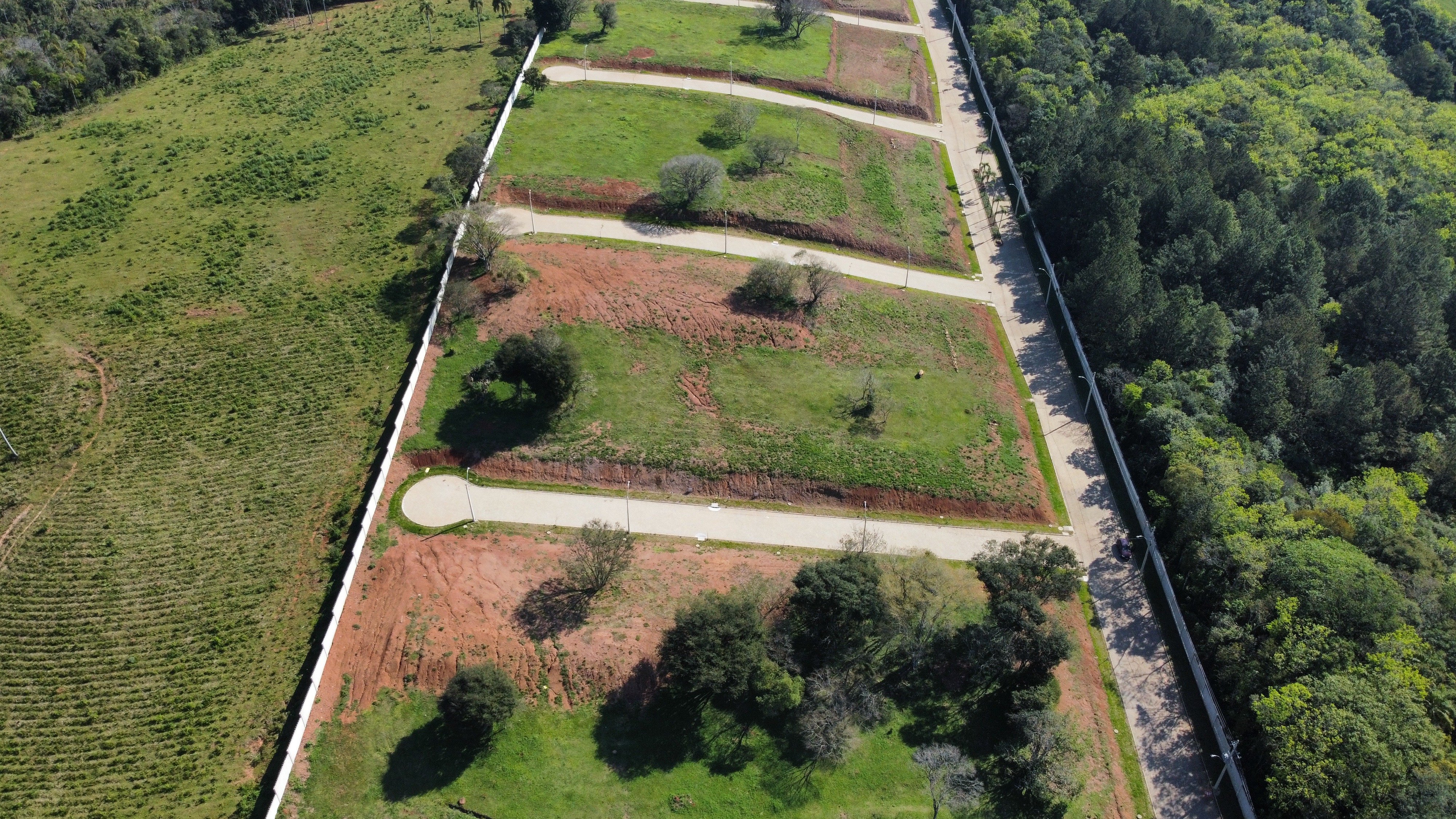 Terreno no Reserva do Arvoredo com 360m² - Foto 7