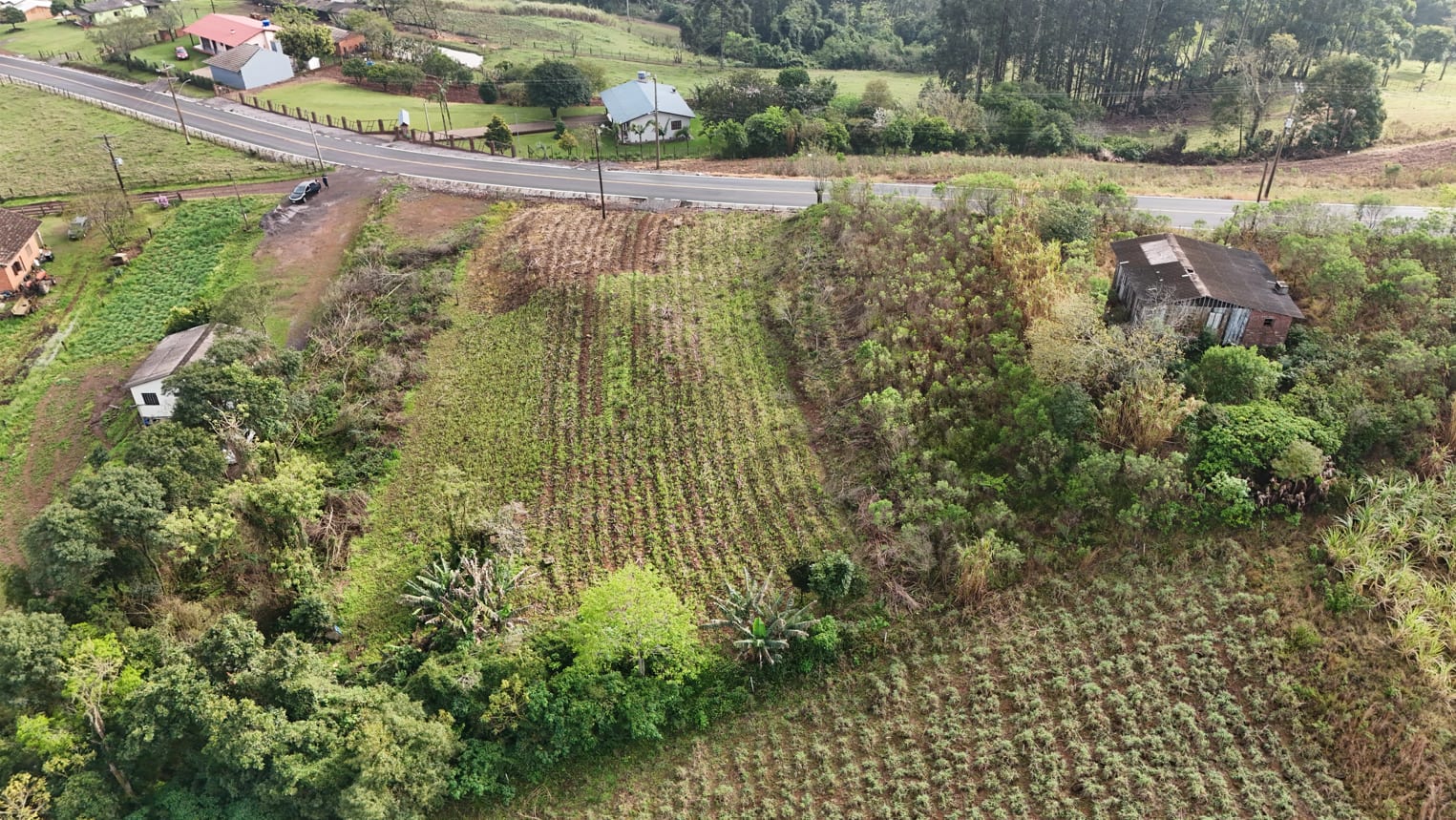 Área Boa Vista - 2.000m² - Foto 7