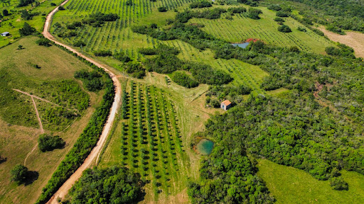 Fazenda em Encruzilhada do Sul com 44,4ha - Foto 4