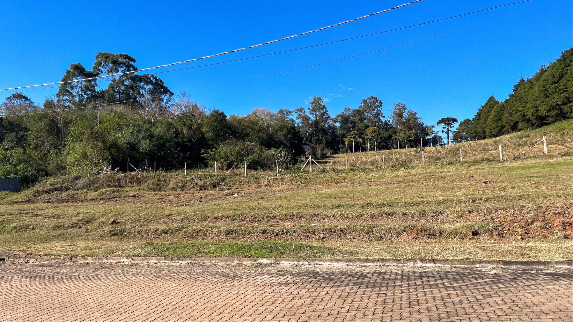 Terreno no Condomínio Terra Madre com 438 m² - Foto 4