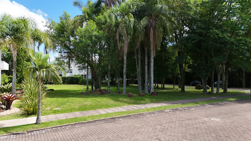 Terreno no Reserva dos Pássaros com 840m² - Foto 9