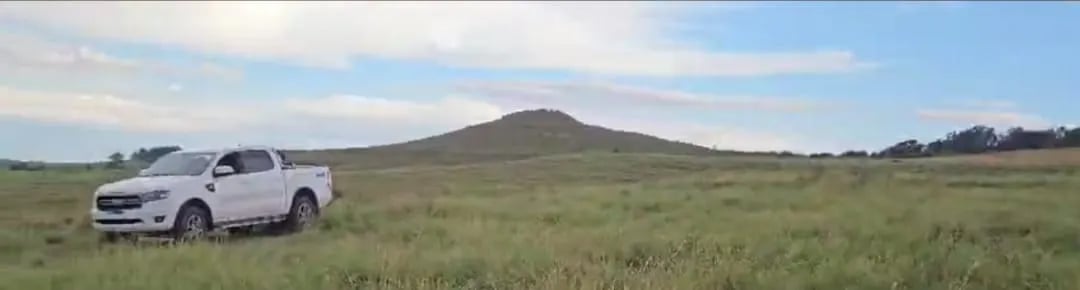 120 hectares - Alegrete - Foto 10