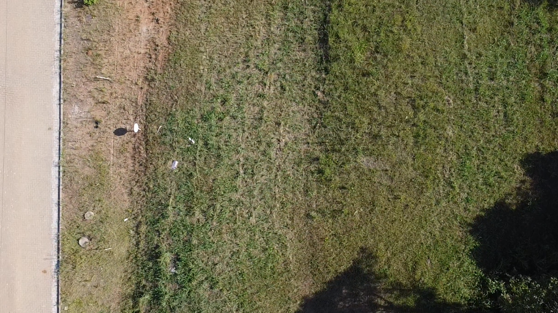 Terreno no Loteamento Parque das Palmeiras com 300 m² - Foto 4