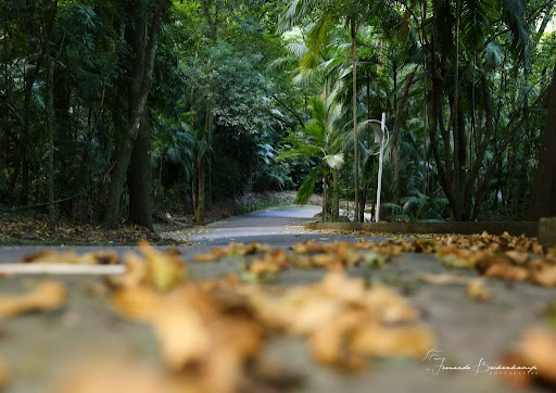 Terreno no Reserva dos Pássaros com 840m² - Foto 13