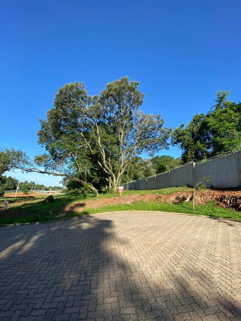 Terreno no Reserva do Arvoredo - Foto 3