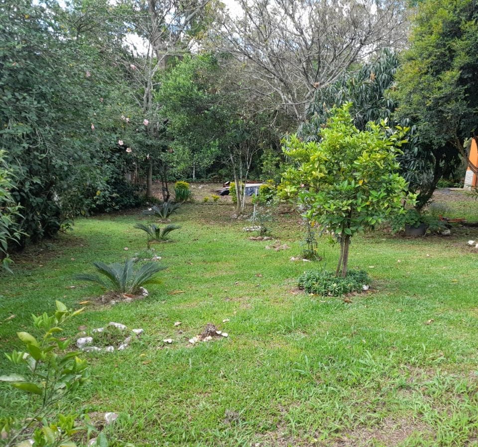 2,8 hectares - Rio Pardinho - Foto 7