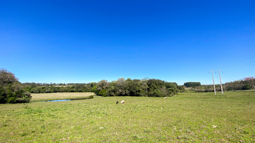 Chácara no Rincão Del Rei com 4 dormitórios - Foto 3