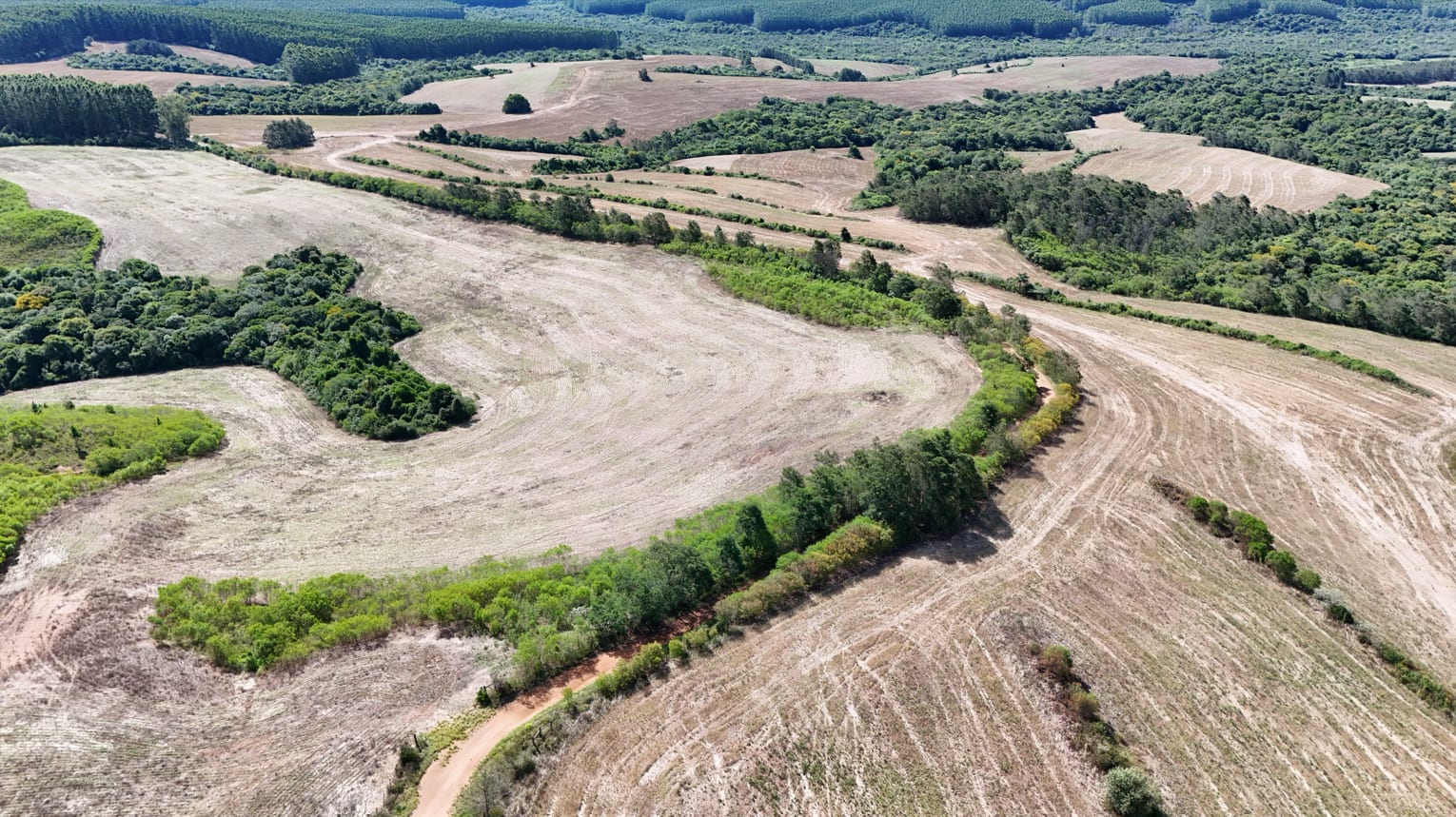 517 hectares - Butiá - Foto 8