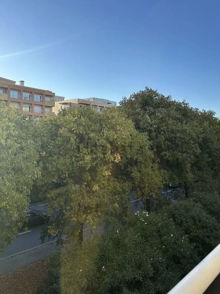 APARTAMENTO ALUGUEL - 34546643 — foto 3