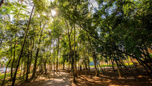 Apartamento Edifício Ametista - Prédio 3902 - Foto 15