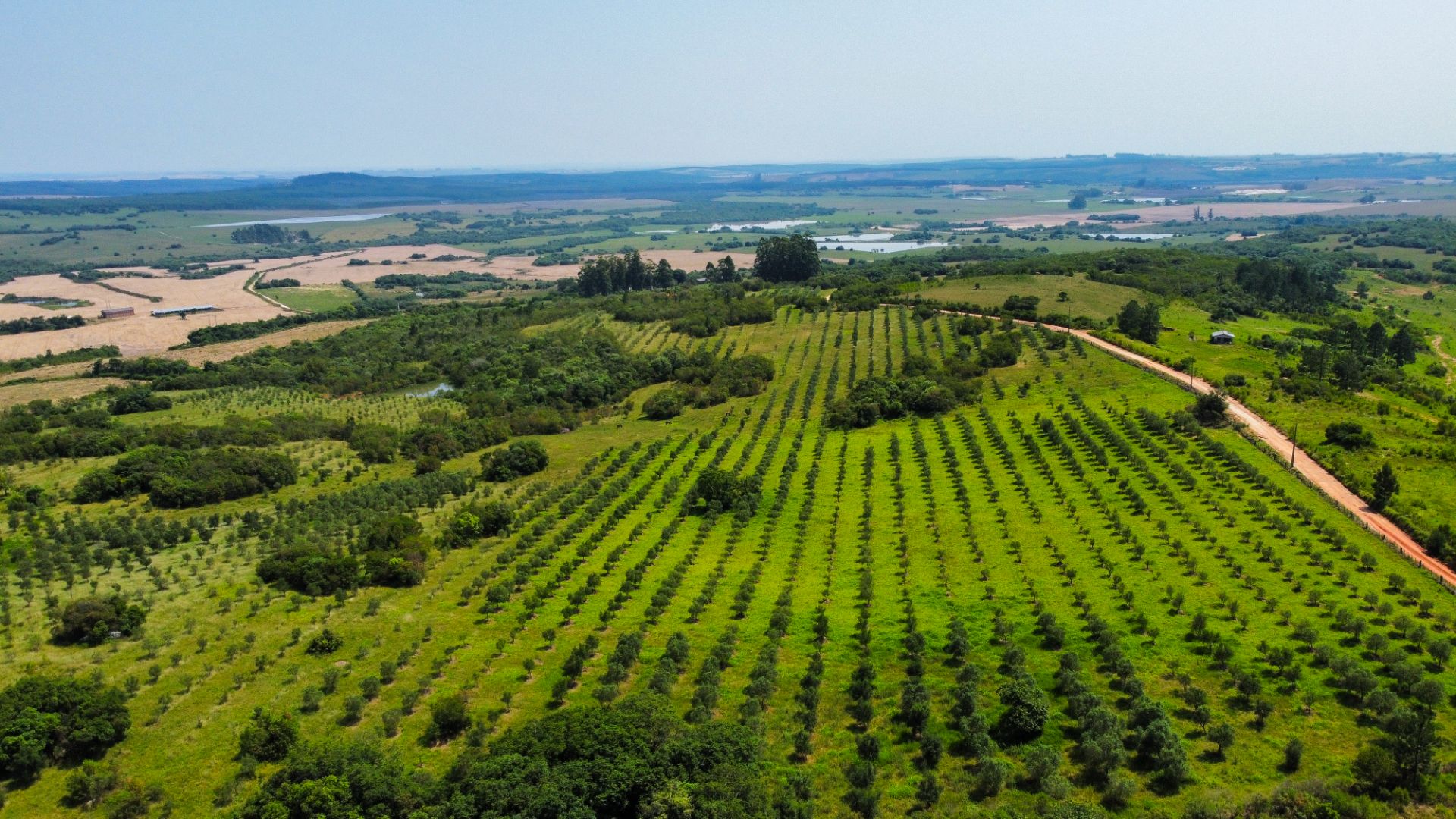 Fazenda em Encruzilhada do Sul com 44,4ha - Foto 25