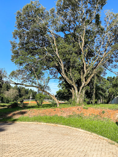 Empreendimento em Country - Santa Cruz do Sul, RS - Foto 10