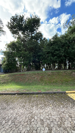 Terreno em Condomínio Residencial das Figueiras com 585 m² - Foto 4