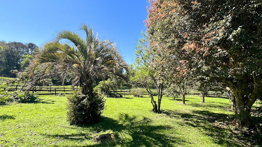 Chácara em Candelária com 21 Hectares - Foto 32