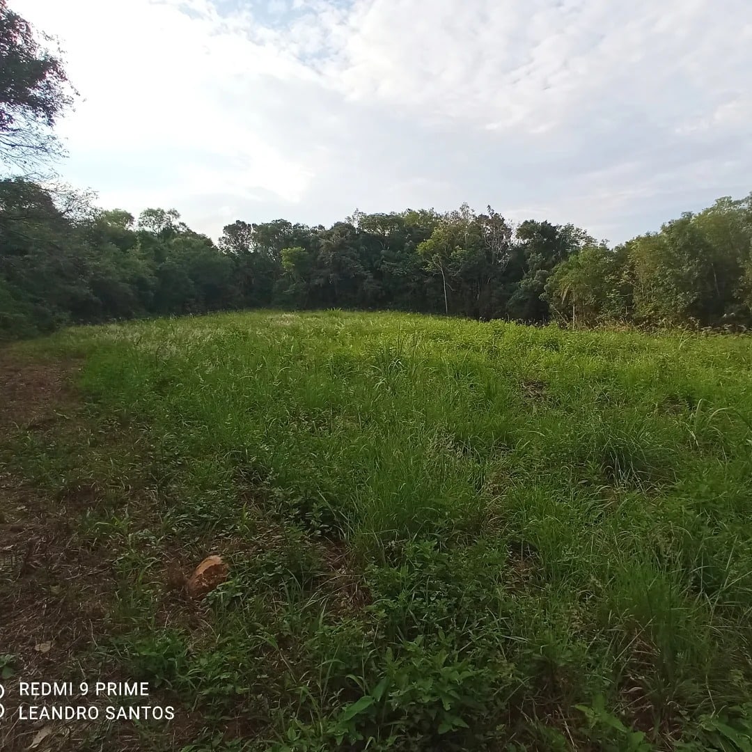 5,5 hectares - Cerro Alegre Alto - Foto 5