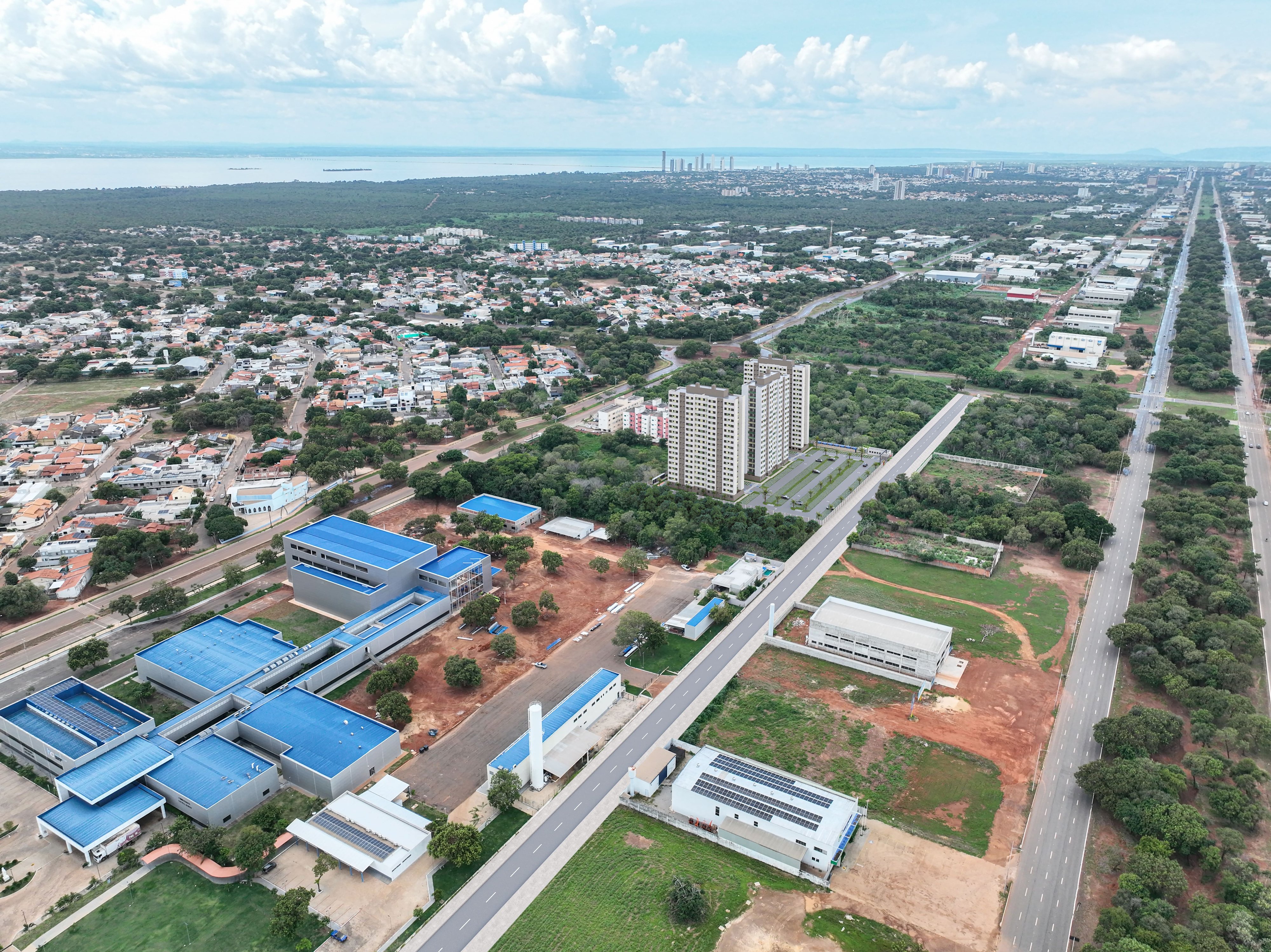 Palmeira Serena, foto 19