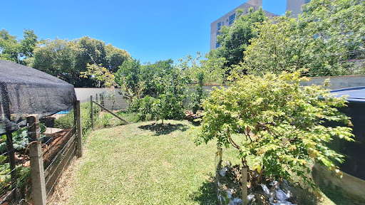 Casa na Avenida com 3 dormitórios e amplo pátio com Piscina - Foto 24