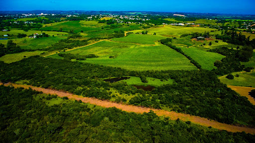 Fazenda em Rio Pardo 83ha - Foto 4