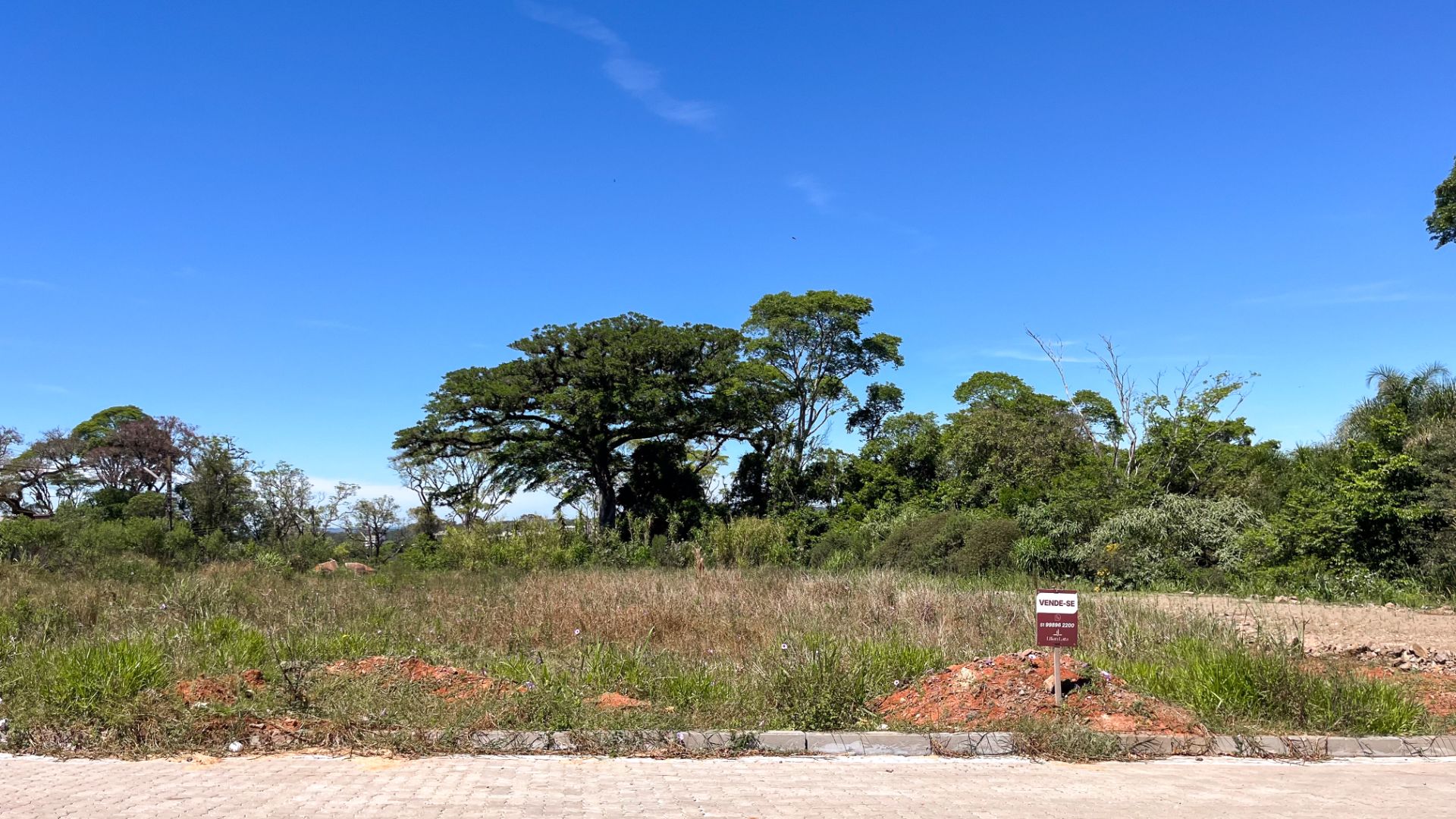 Terreno em Vera Cruz com 375 m² - Foto 11