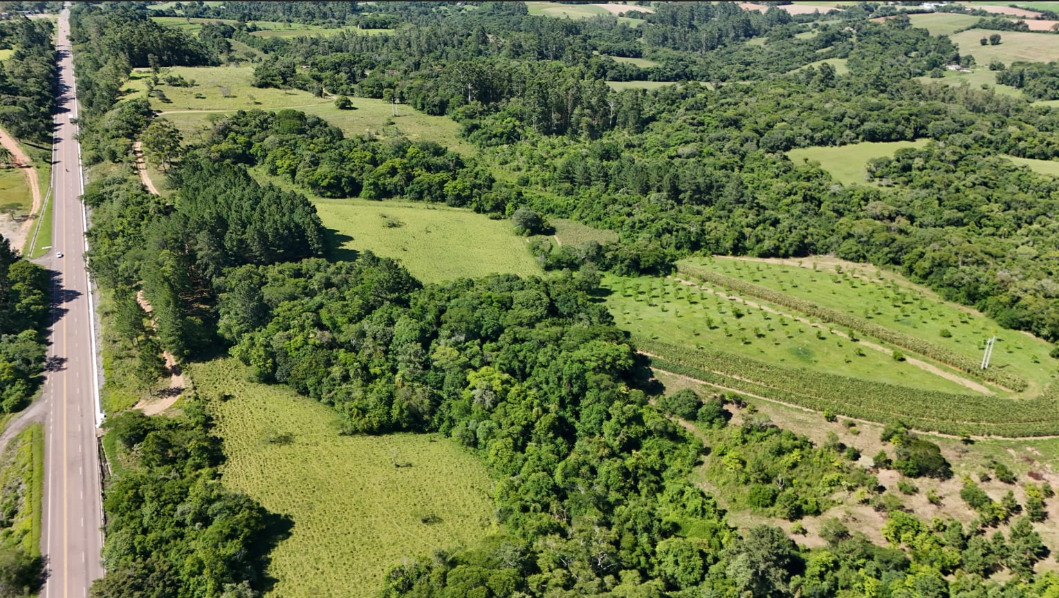 Área no Rincão del Rei - 50 hectares - Foto 11