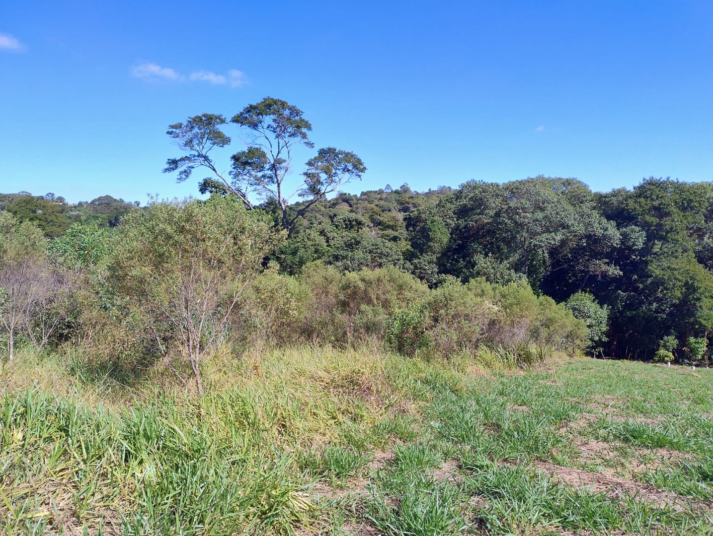 Terreno, Dona Catarina, Mairinque - R$ 180 mil, Cod: TE-379