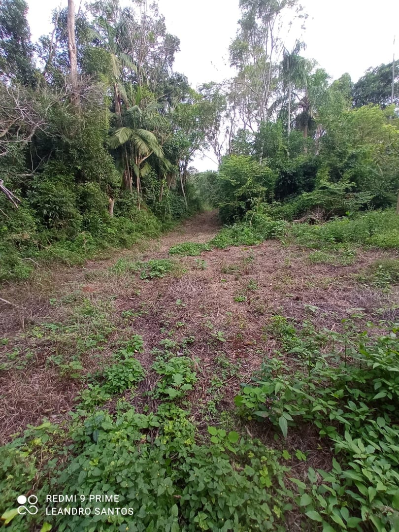 5,5 hectares - Cerro Alegre Alto - Foto 8