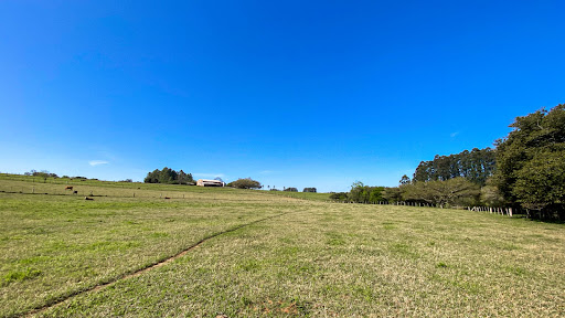 Chácara no Rincão Del Rei com 4 dormitórios - Foto 6