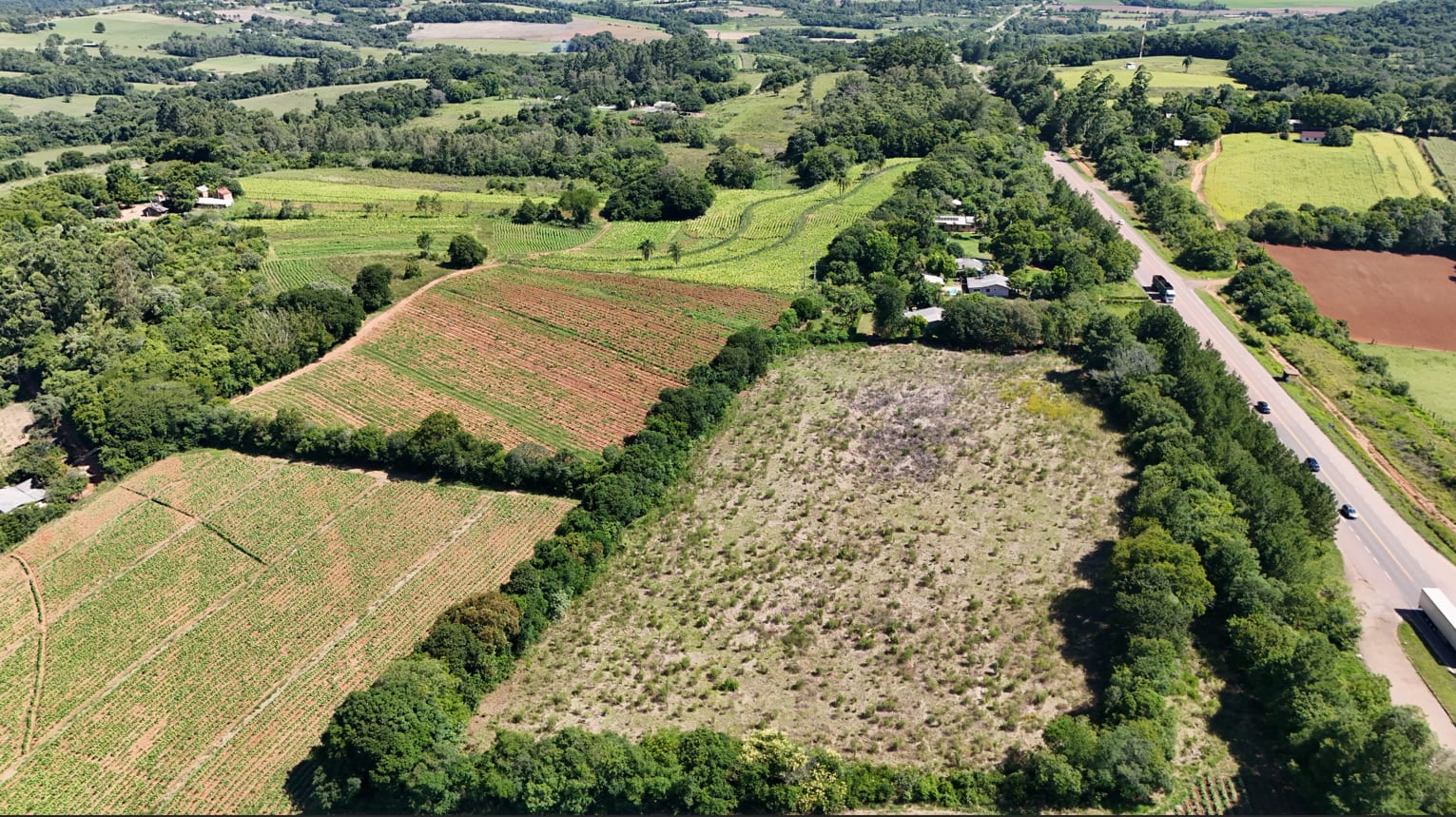 Área no Rincão del Rei - 50 hectares - Foto 3
