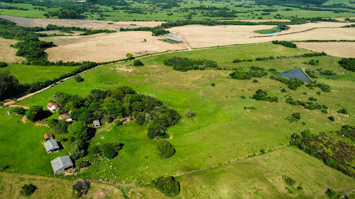 Fazenda em Encruzilhada do Sul com 44,4ha - Foto 7