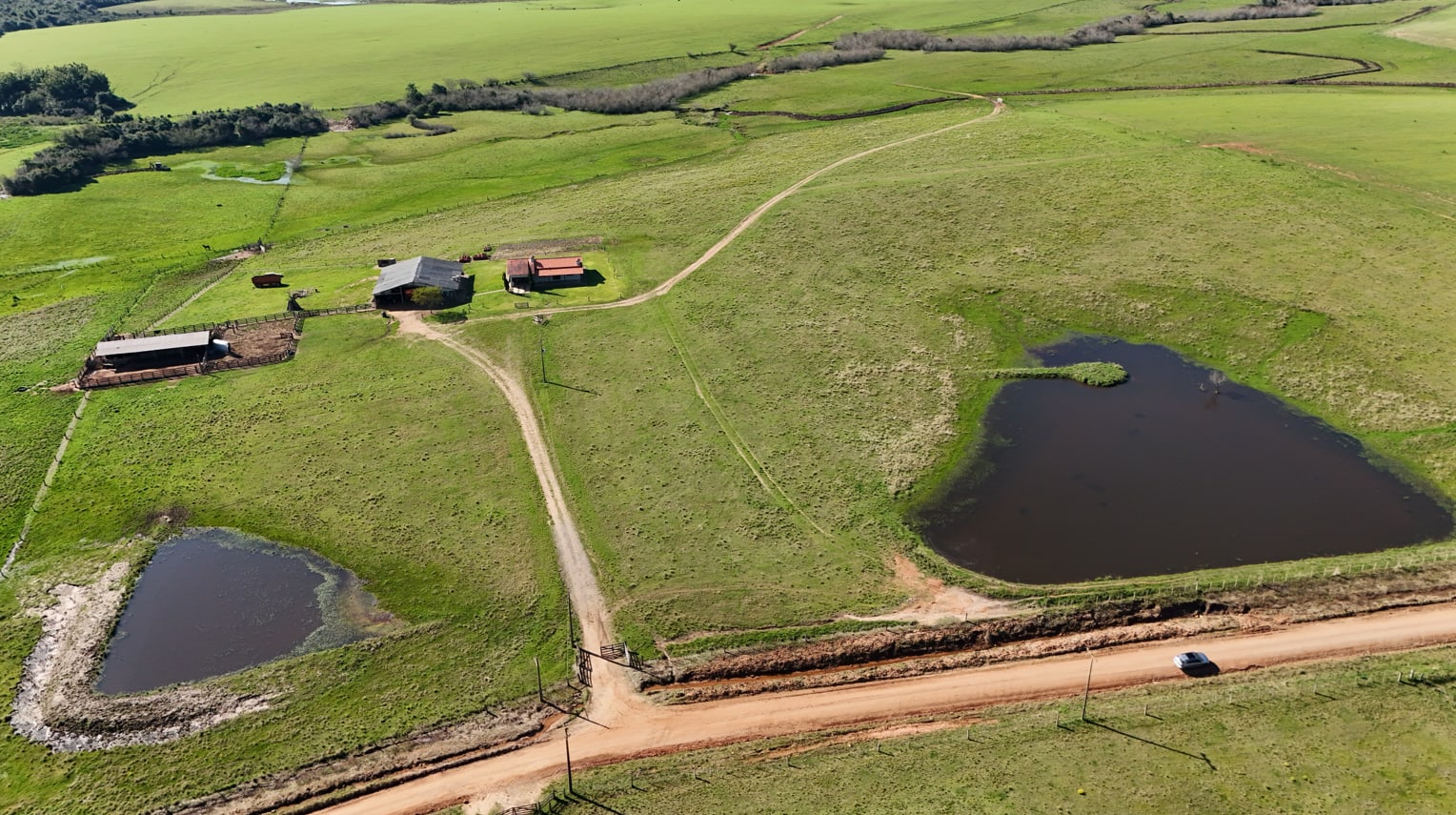 203 hectares - Vale Verde - Foto 9