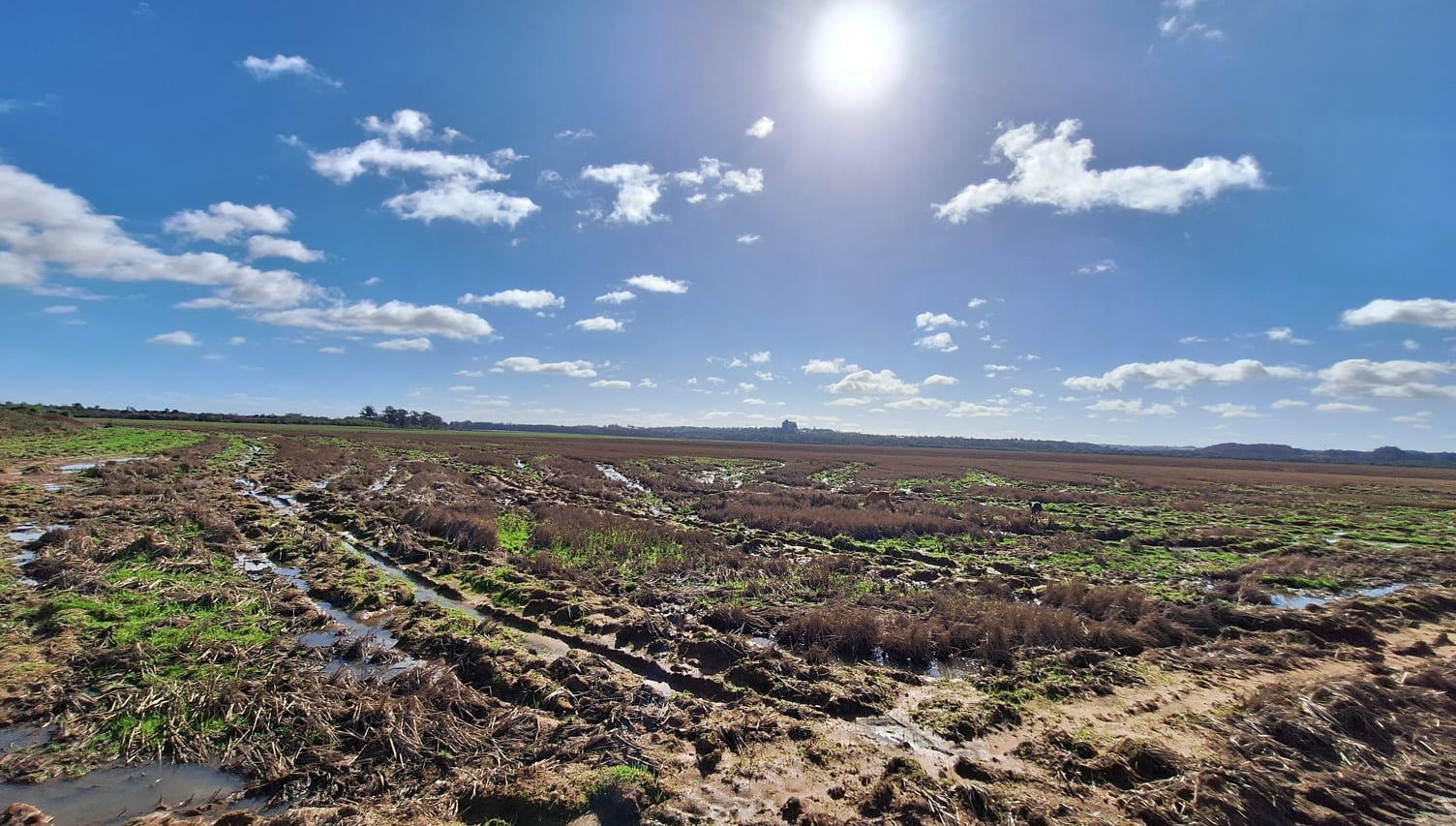 Cachoeira do Sul - 530 hectares - Foto 4