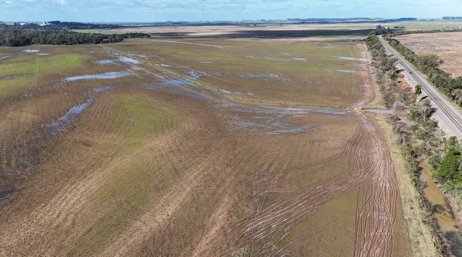 530 Hectares - Cachoeira do Sul - Foto 16