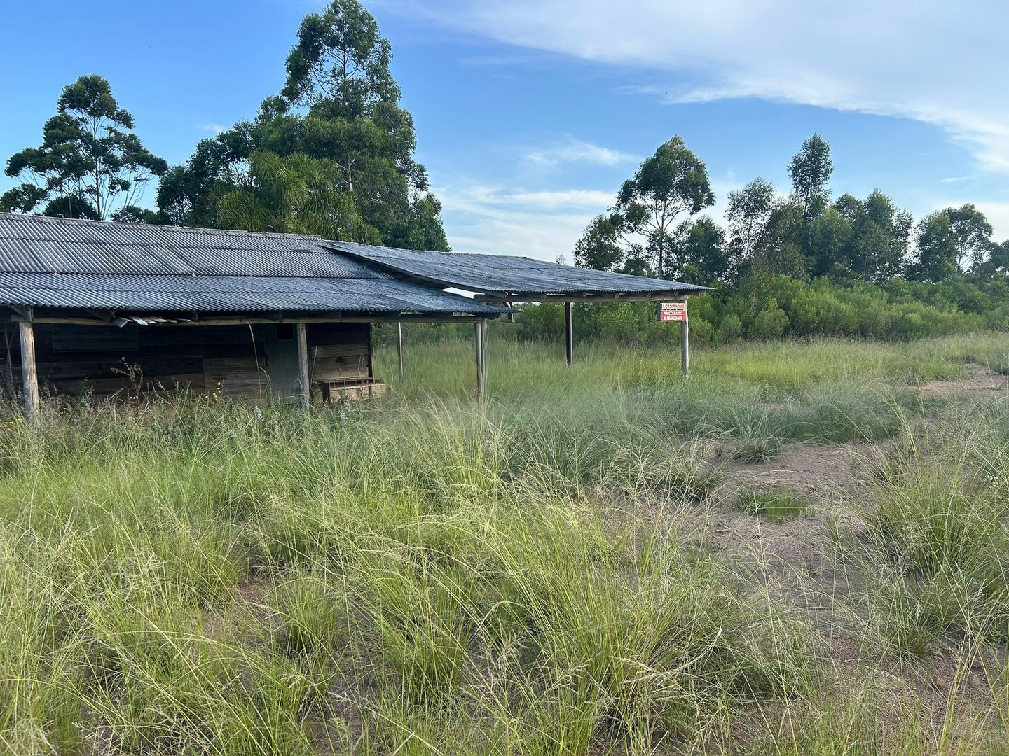 Fazenda 130 Ha - Foto 5