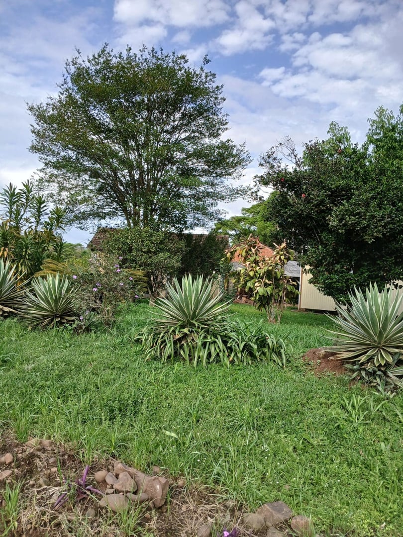 2 hectares - Cerro Alegre Baixo - Foto 3